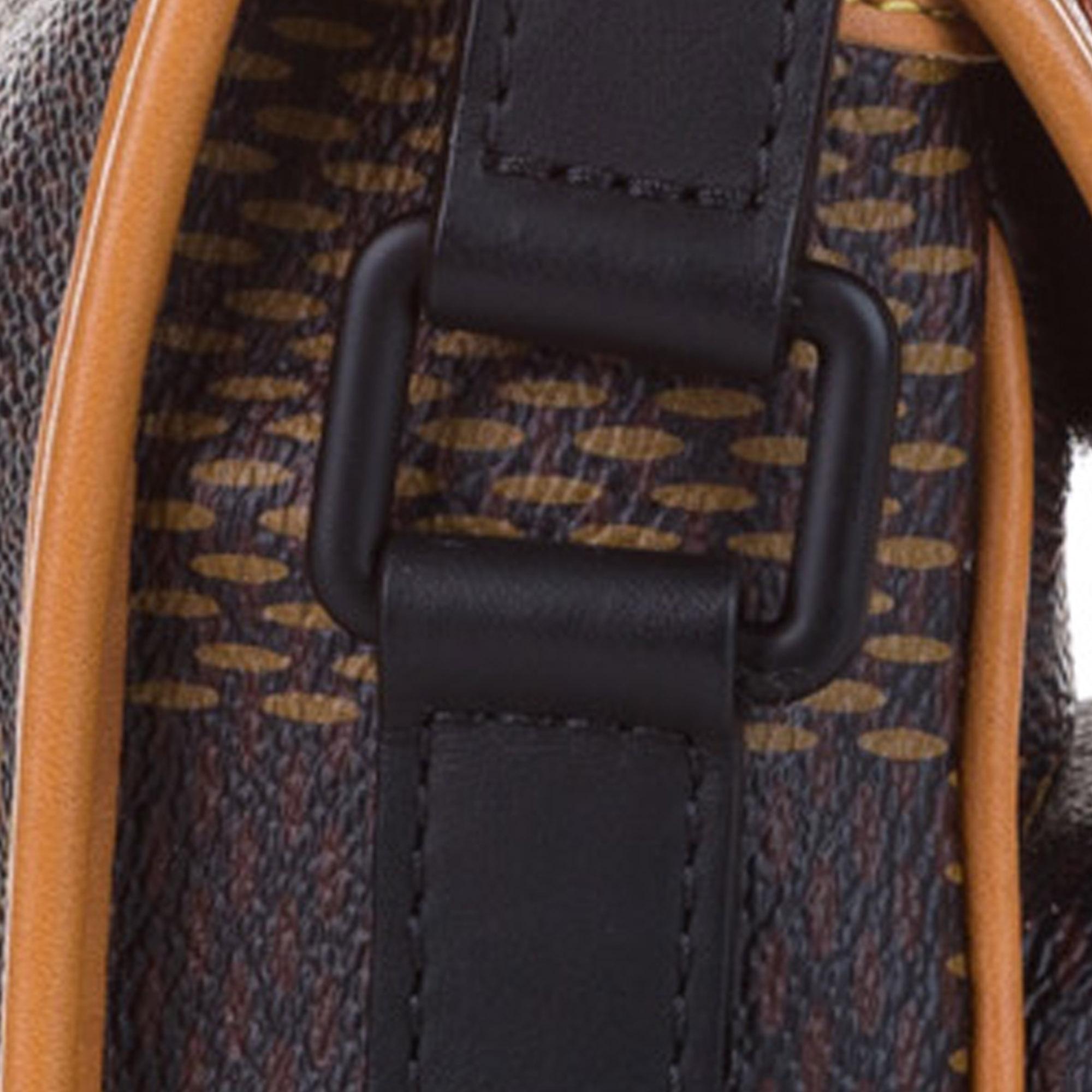 nigo-giant-damier-ebene-monogram-nano-amazone