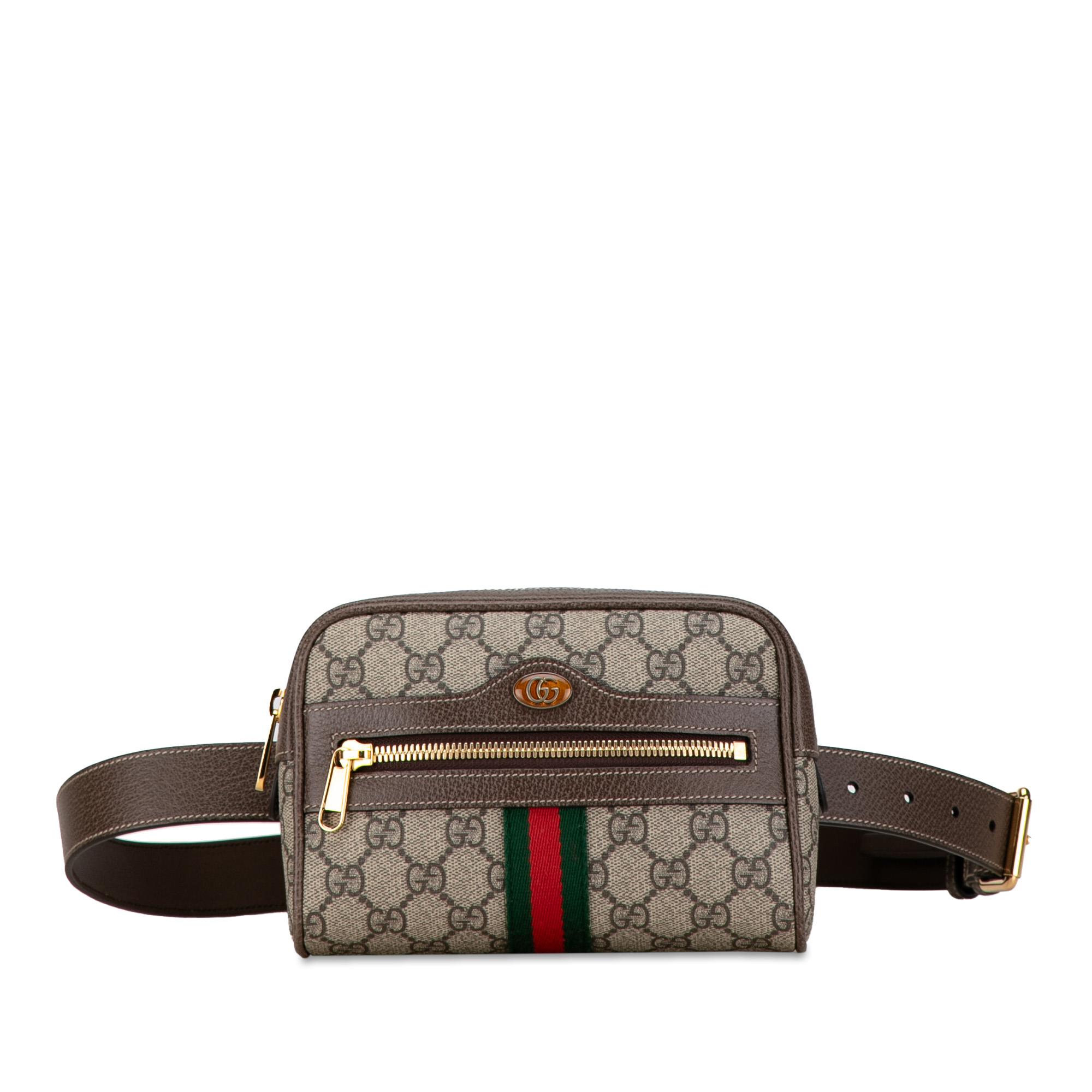 small-gg-supreme-ophidia-belt-bag