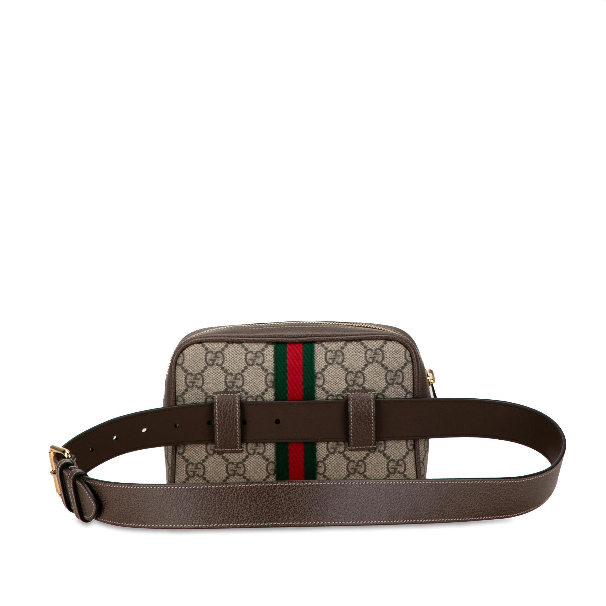 small-gg-supreme-ophidia-belt-bag