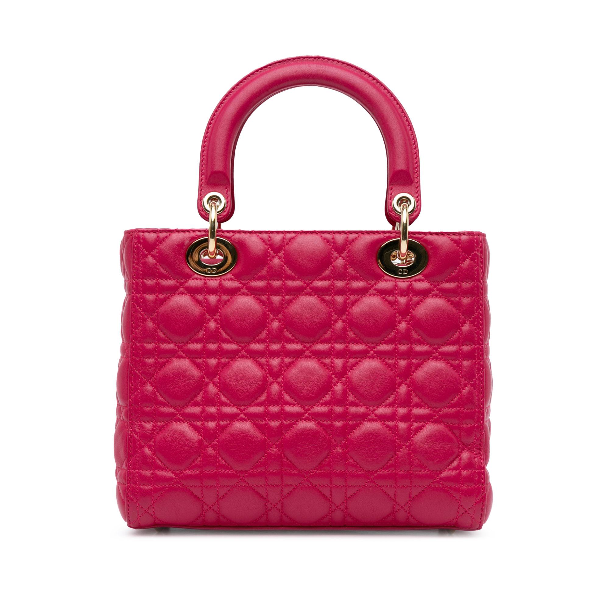 medium-lambskin-cannage-lady-dior-20