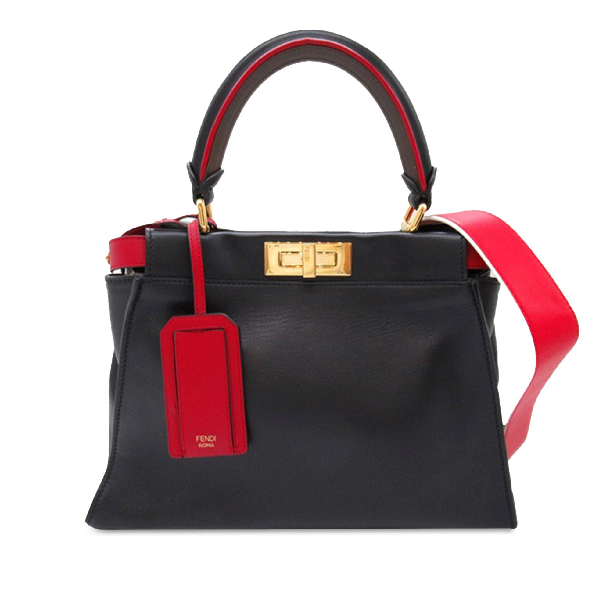 Medium Bicolor Leather Iconic Peekaboo Defender Satchel