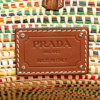 Vitello Trimmed Raffia Paglia Basket Bag
