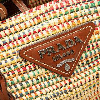 Vitello Trimmed Raffia Paglia Basket Bag