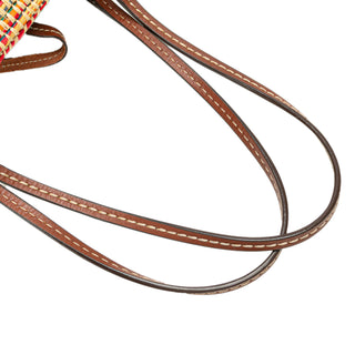 Vitello Trimmed Raffia Paglia Basket Bag