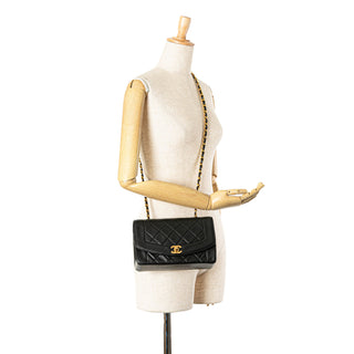 Small Lambskin Diana Flap