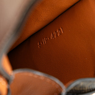 Triomphe Coated Canvas and Lambskin Phone Pouch with Flap