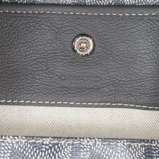 Goyardine Saint Louis GM
