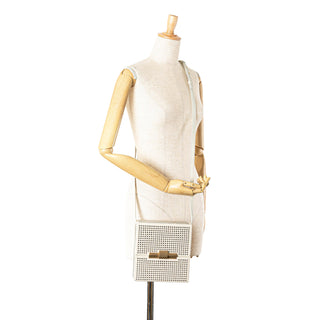 Crystal Embellished Canvas Daisey Crossbody