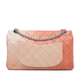 Ombre Reissue 225 Double Flap