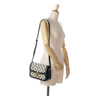 Embroidered Canvas Triomphe Crossbody