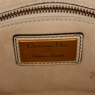 Niki De Saint Phalle Mini Calfskin Dioramour Lady Dior
