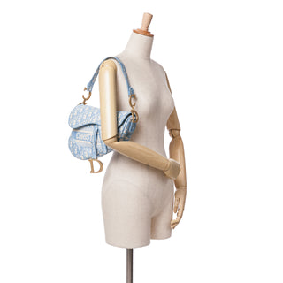 Oblique Embroidered Canvas Saddle Bag