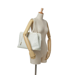 Goyardine Bellechasse PM