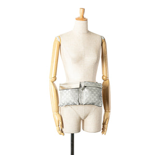 GG Canvas Web Double Pocket Belt Bag