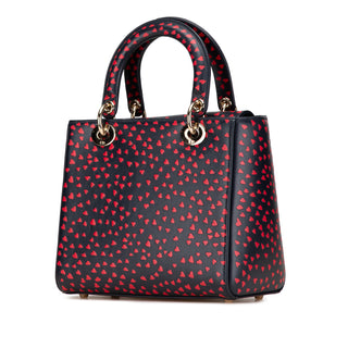 Medium Calfskin I Love Paris Lady Dior